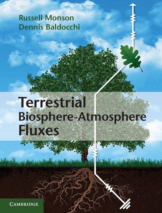 Terrestrial Biosphere-Atmosphere Fluxes - cover