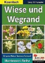 Wiese und Wegrand