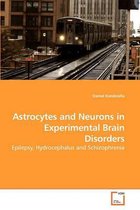 Astrocytes and Neurons in Experimental Brain Disorders