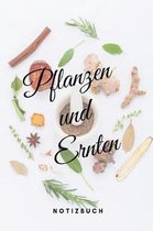 Pflanzen und Ernten