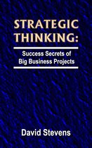 Strategic Thinking: success secrets of big business projects