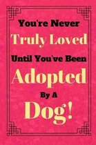 You're Never Truly Loved Until You've Been Adopted By A Dog