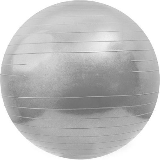 Matchu Sports - Fitness bal - Ø 65 cm - Gymbal - Zitbal - Inclusief pomp - Zilver