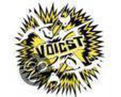 Voicst - 11-11