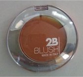 2B Blush Chrome 06