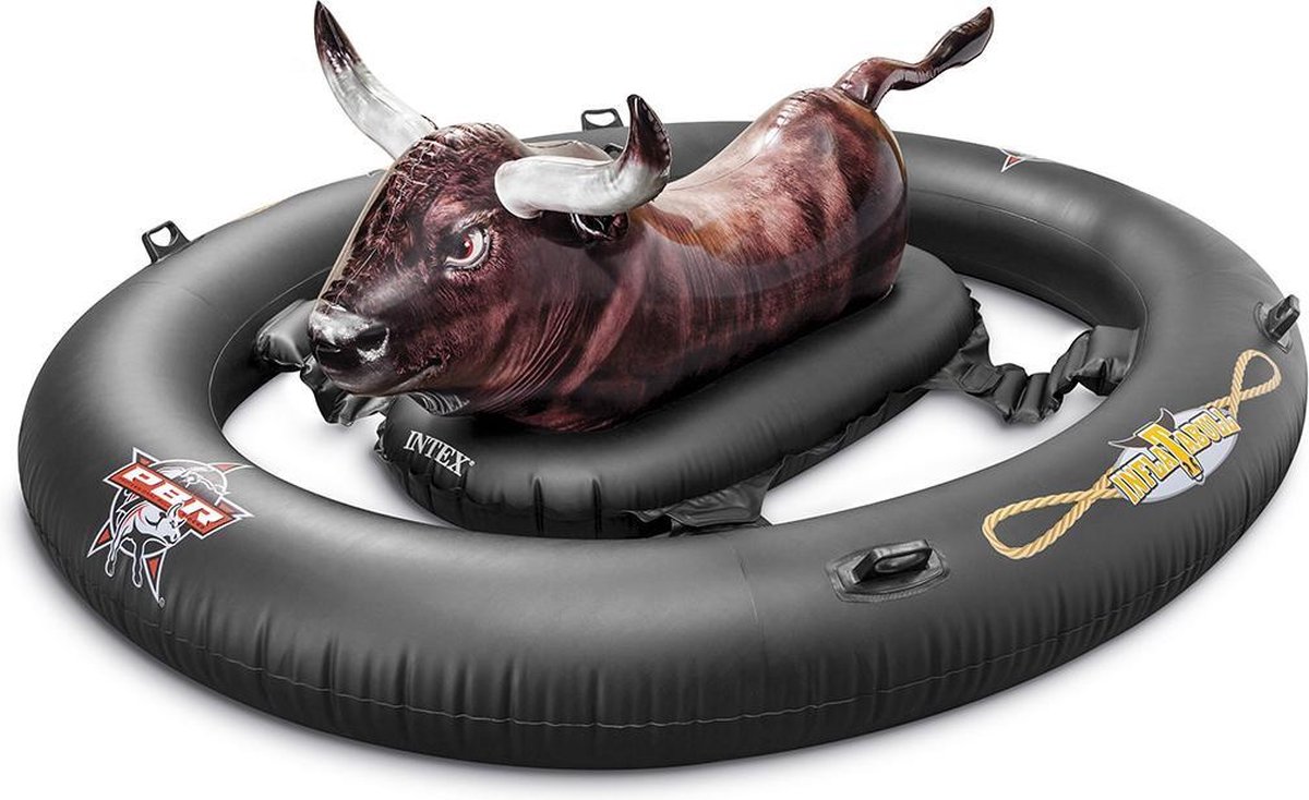 bull ride for pool