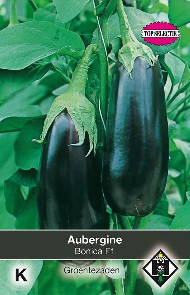 Van Hemert - Aubergine Bonica F1