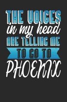 The Voices In My Head Are Telling Me To Go To Phoenix