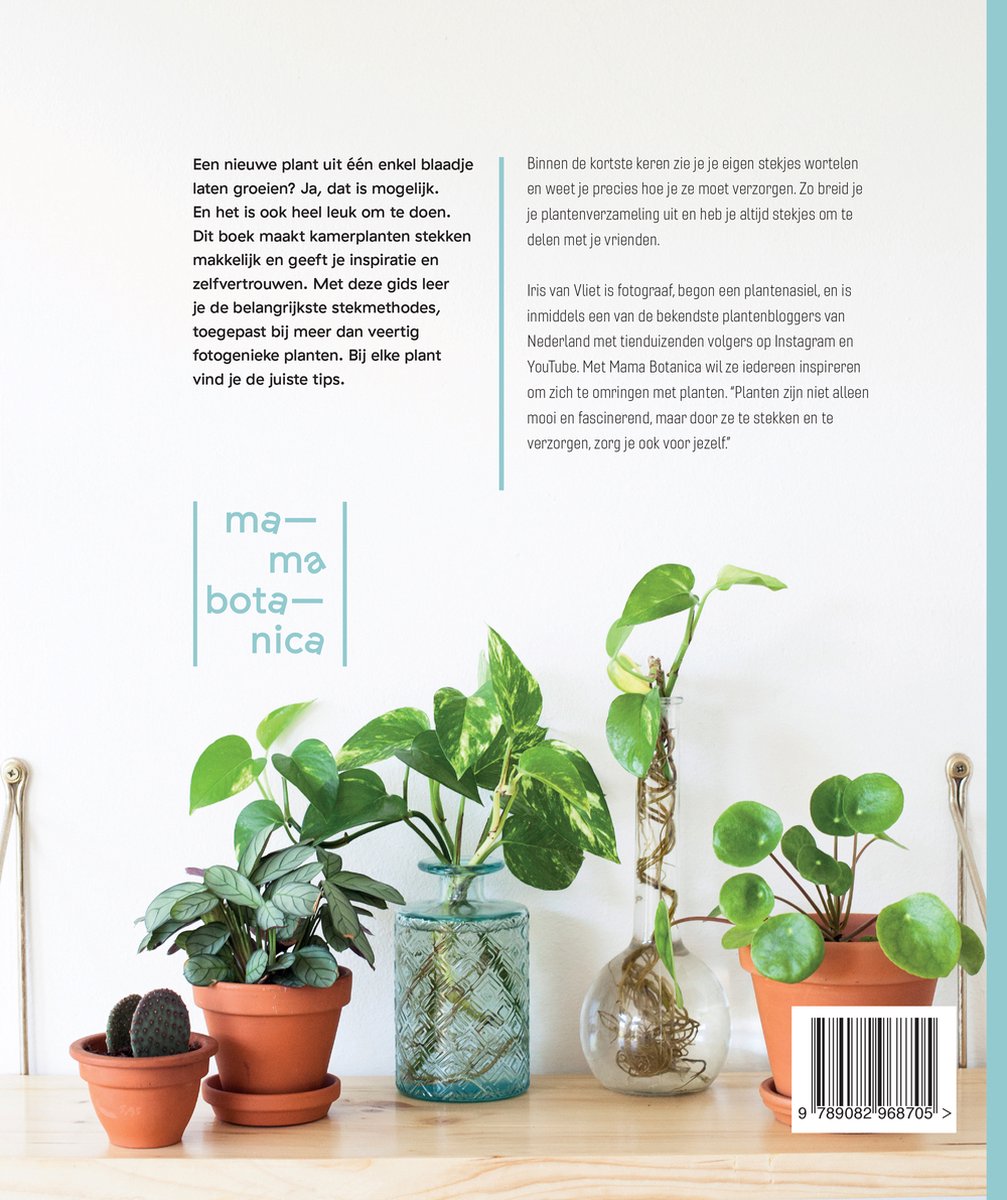 Stek Je Plant - back cover