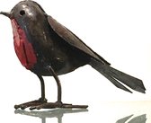 Birds of Zimbabwe - Roodborstje Staand