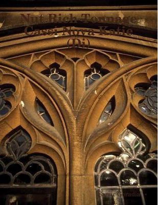 Nut Rich Tonnage Cassi Nova Katie (Di), Samir Goradia 9780359619115