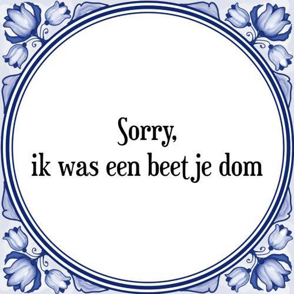 Tegeltje met Spreuk (Tegeltjeswijsheid) Sorry, ik was een beetje dom + Kado...