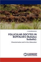 FOLLICULAR OOCYTES IN BUFFALOES (Bubalus bubalis)