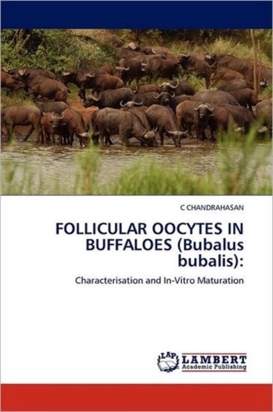 FOLLICULAR OOCYTES IN BUFFALOES (Bubalus bubalis) - cover
