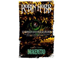 Omslag van De kronieken van de wilde regenlanden 3 - Drakenstad