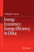 Energy Economics: Energy Efficiency in China