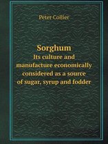 Sorghum Its culture and manufacture economically considered as a source of sugar, syrup and fodder