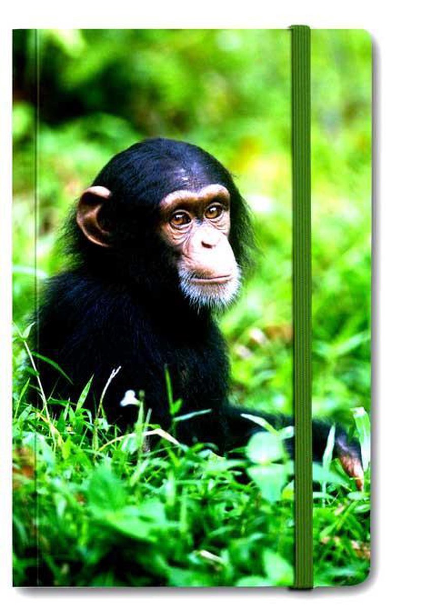 Notitie boekje A6, Baby Chimpansee
