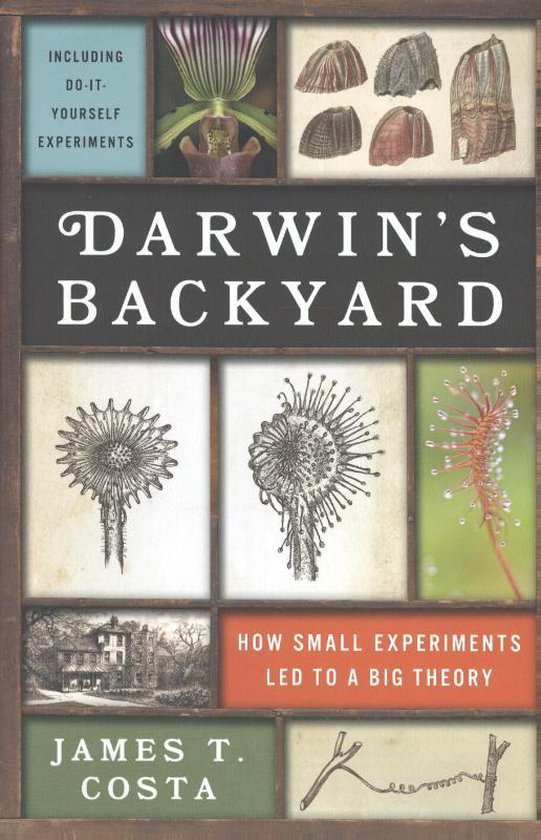 Darwin's Backyard - cover