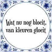 Tegeltje met Spreuk (Tegeltjeswijsheid): Wat nu nog bloeit, van kleuren gloeit + Kado verpakking & Plakhanger