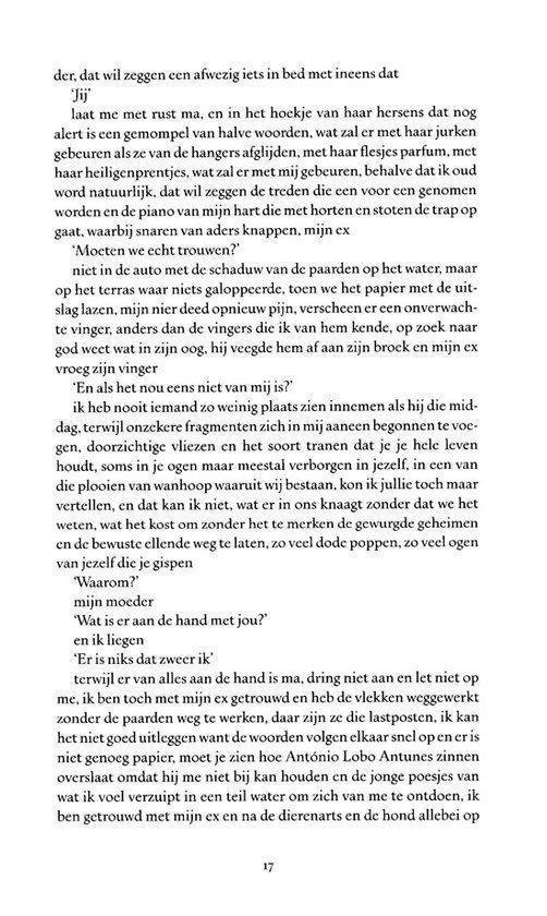 Tekstpagina met een verhaal in het Nederlands.