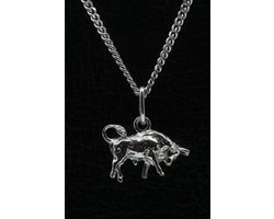 Zilveren Sterrenbeeld Stier ketting hanger - klein