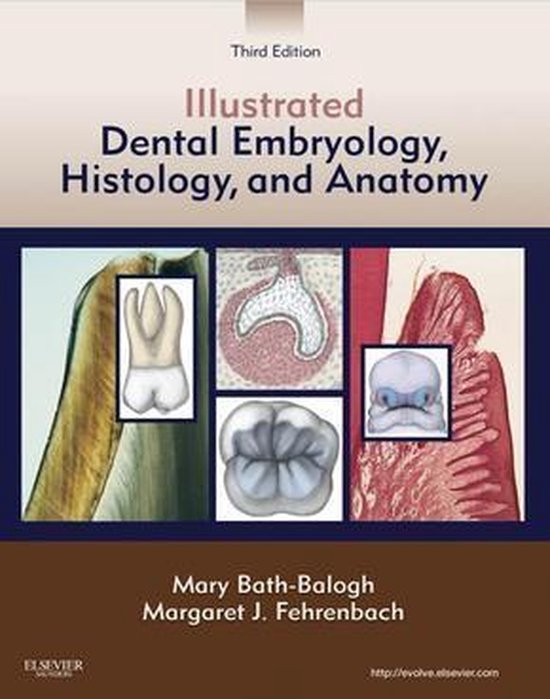illustrated dental embryology histology and anatomy 3rd edition free download