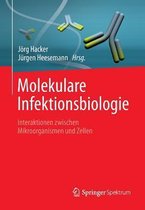 Molekulare Infektionsbiologie