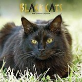 Black Cats Kalender 2019
