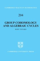 Group Cohomology & Algebraic Cycles