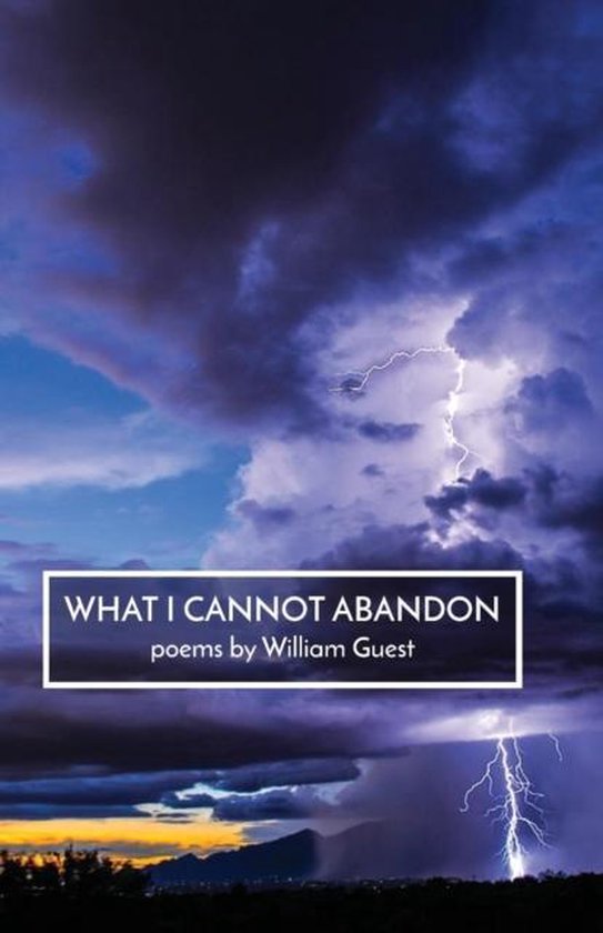 What I Cannot Abandon - cover