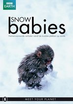 BBC Earth - Snow Babies