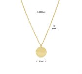 The Fashion Jewelry Collection Ketting Rondje 1,0 mm 41 - 43 - 45 cm - Geelgoud