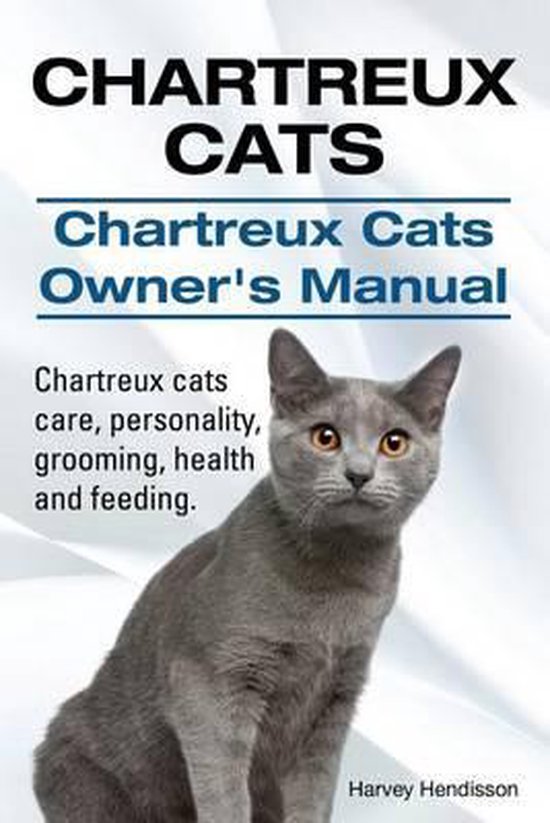 Chartreux Chartreux Cat