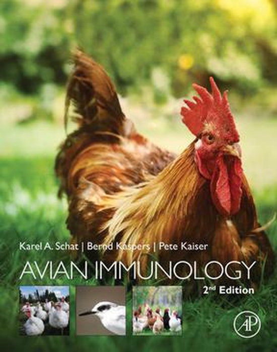 Avian Immunology - cover