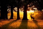 Tuinposter - Hert tussen de bomen