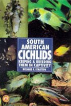 South American Cichlids