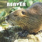 Beaver Calendar 2019