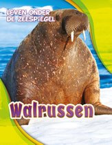 Leven onder de zeespiegel - Walrussen
