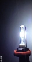 Blanco HID-Xenon lamp H4 Bi-Xenon 6000K, 1 stuk