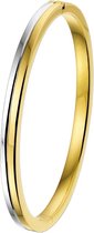 The Jewelry Collection Bangle Scharnier Vlakke Buis 6 X 60 mm - Bicolor Goud