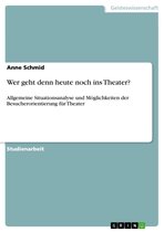 Wer geht denn heute noch ins Theater?: Allgemeine Situationsanalyse und Möglichkeiten der Besucherorientierung für Theater