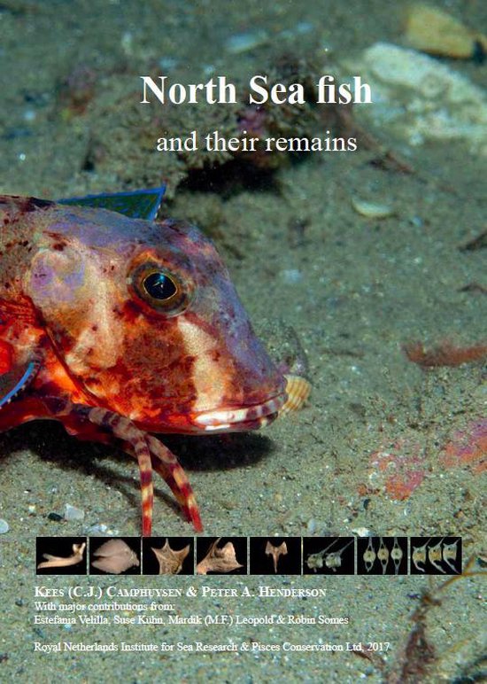 North Sea Fish and Their Remains