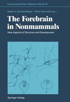 The Forebrain in Nonmammals