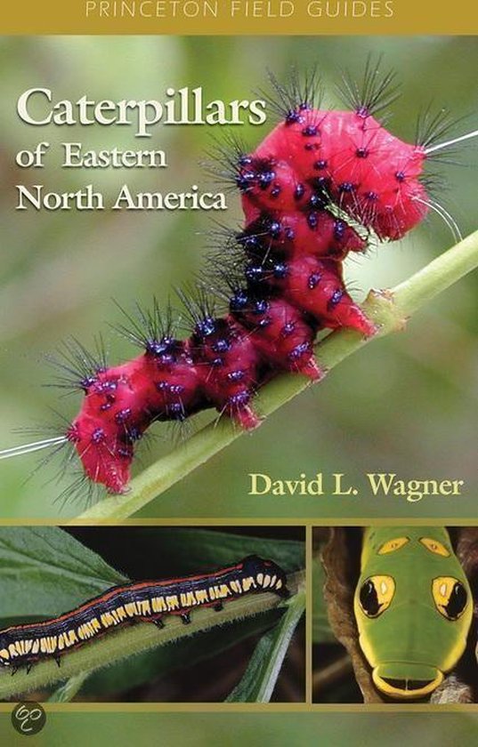 Caterpillars of Eastern North America (ebook), David L. Wagner | 2370003277333 | Boeken | bol.com