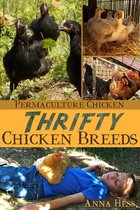 Permaculture Chicken 3 - Thrifty Chicken Breeds