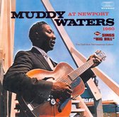 Muddy Waters At Newport