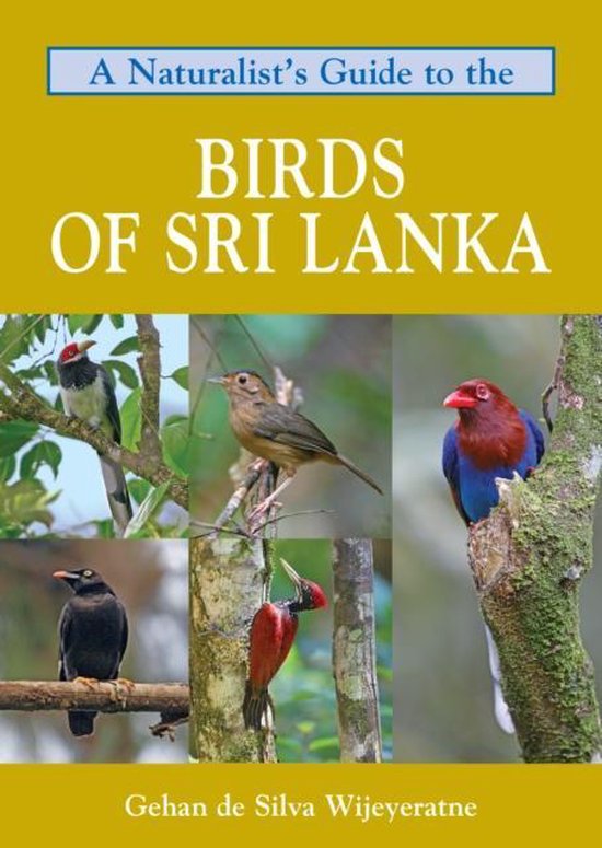 Naturalists Guide To The Birds Of Sri Lanka Gehan De Silva Wijeyeratne 