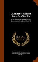 Calendar of Ancient Records of Dublin