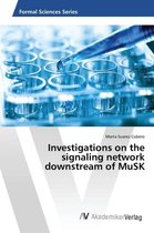 Investigations on the signaling network downstream of MuSK